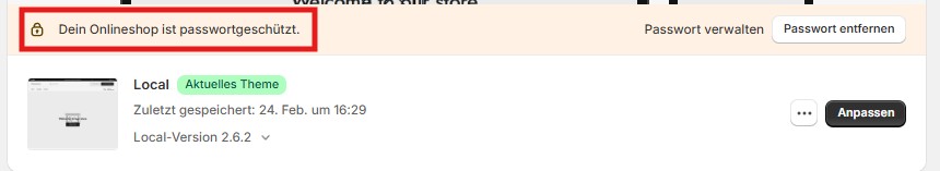 Shopify-Shop mit Passwort schützen