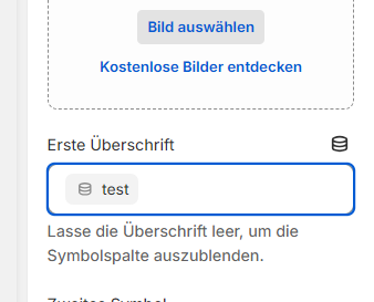 Metafeld erfolgreich im Template hinterlegt